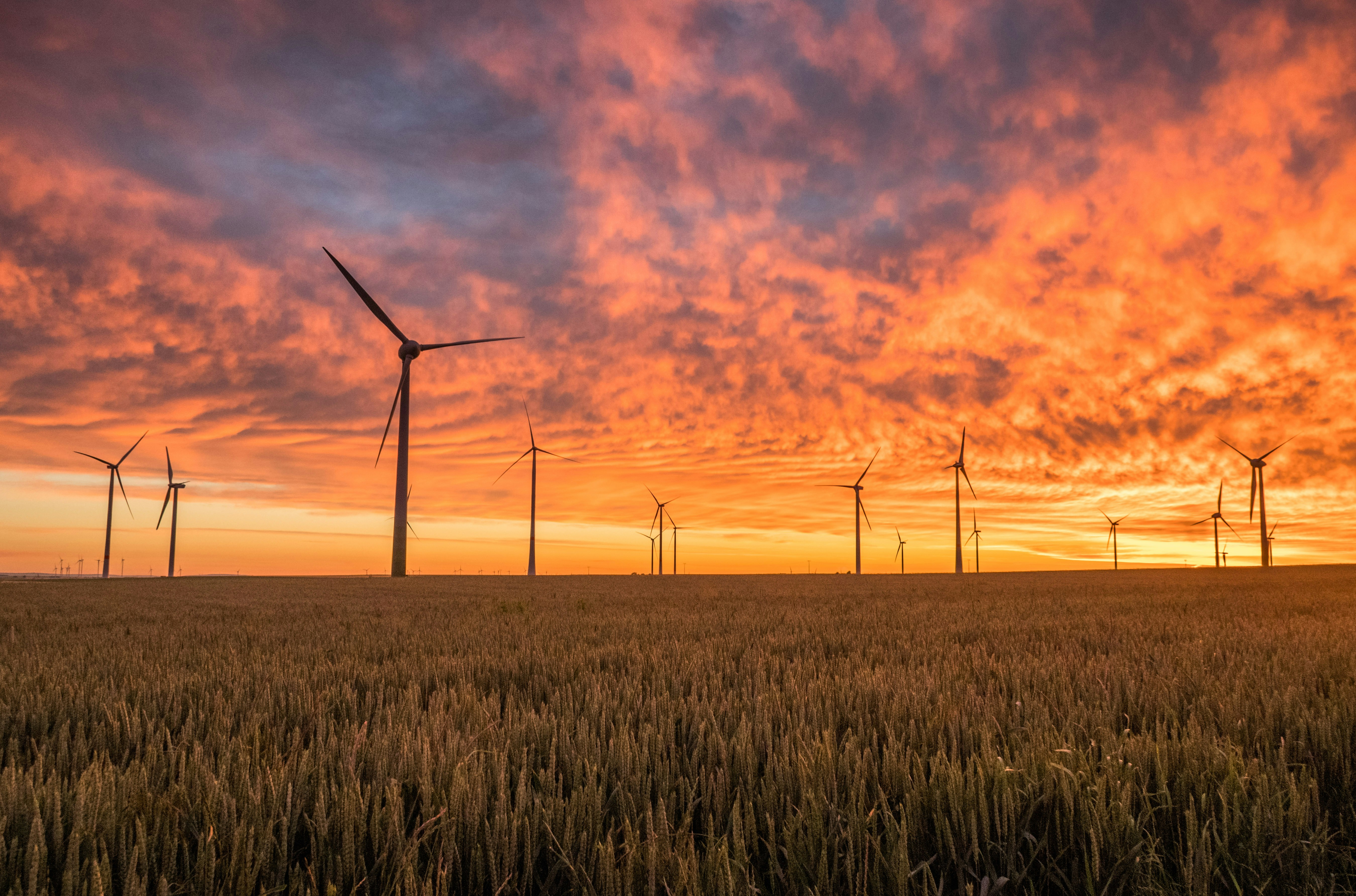 EU electricity sources 2026: solar and wind overtake fossil fuels ...